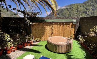 Gardens Guest House-Hostel