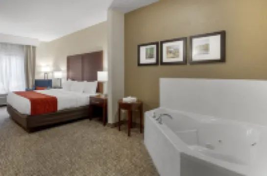 Comfort Inn & Suites Canton Riverstone Area Hoteles en Canton