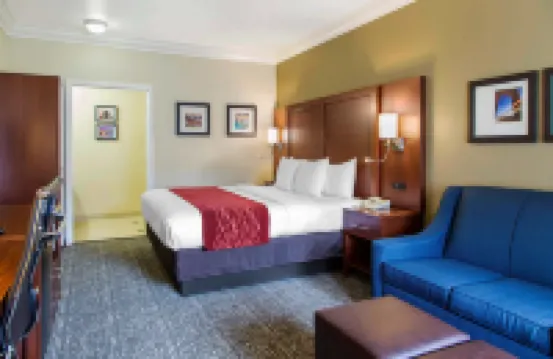 Comfort Inn & Suites San Francisco Airport North
