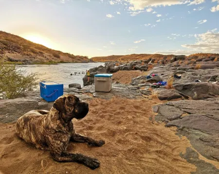 Witfontein Game Lodge Отели в г. Bo-Karoo