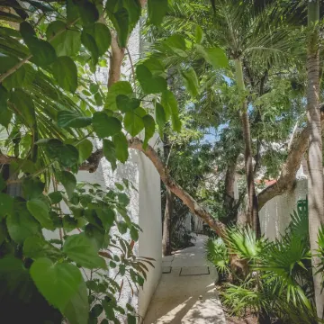 Sotavento Hotel & Yacht Club