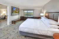 Sheraton Baltimore Washington Airport Hotel - BWI Hotels in Elkridge