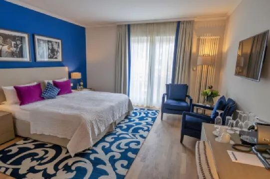 維拉維塔羅森公園飯店 住宿飯店