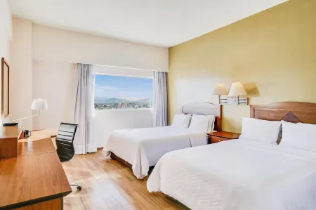 Fiesta Inn Torreon Galerias