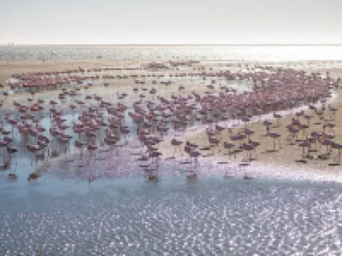 Flamingo Villas Boutique Hotel โรงแรมในวอลวิสเบย์