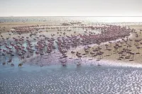 Flamingo Villas Boutique Hotel Hotels in Walvis Bay