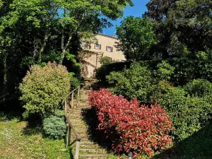 Palazzo Viviani Castello di Montegridolfo