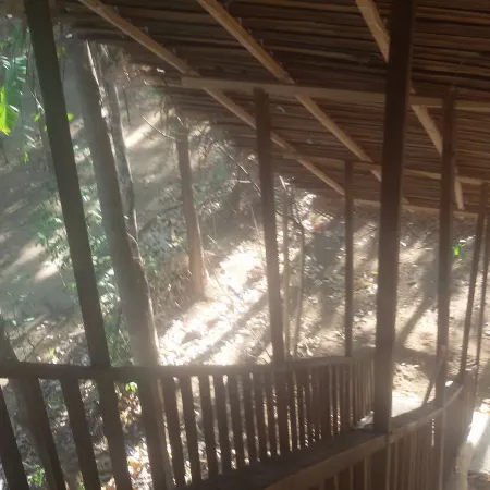 Elephant Corridori Camping