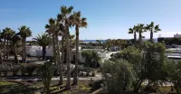 Palmeras Garden - Scenic