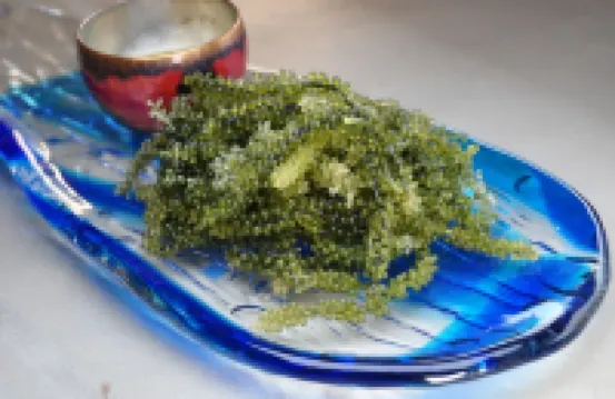 阿西比納旅館
