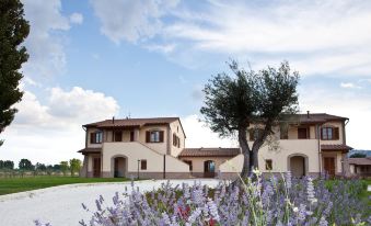Agriturismo le Rondini di Francesco di Assisi