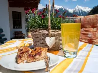 Comfortable Apartment in Mayrhofen with Garden Hotels in Finkenberg