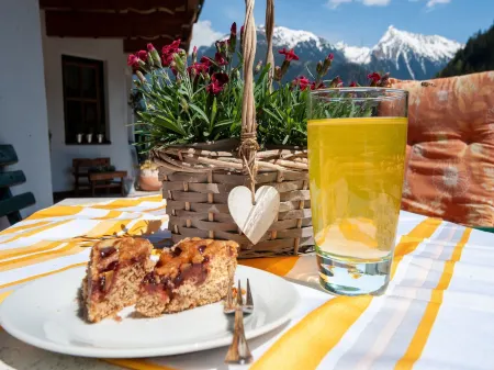 Comfortable Apartment in Mayrhofen with Garden Отели в г. Finkenberg