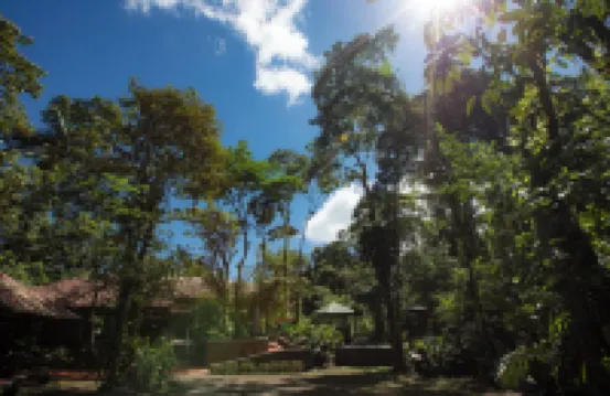 Tapirus Lodge and Reserve