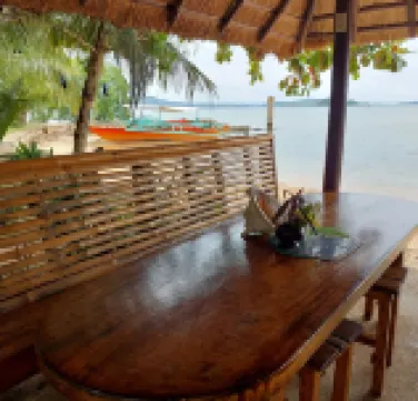 콘셉시온 다이버 로지