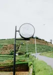 Dieng Khatulistiwa by Travelink