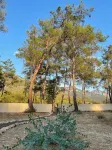 4 Camp&Restaurant - Adult Only Hotels in Kumluca