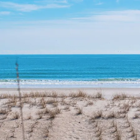 703 by the Sea
