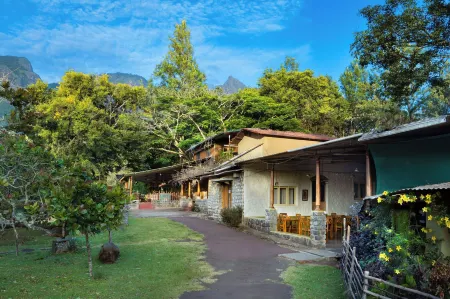 Jungle Hut