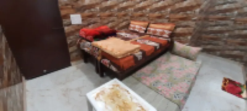Luxury Flat in Foreigner Areof Lajpat Nagar with Fully Equipped Kitch Hotels in 