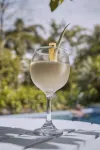 El Bosque Hotel Boutique - bar