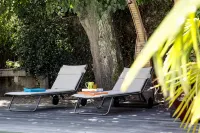 Une Odeur de Tilleul Hotels in Montbrison