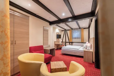 Hotel Altes Weinhaus Отели в г. Нойштадт