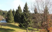 App with Air Conditioning, Pool, Garage for Car, Bike, Skis, AktivCard Bayer.Wald Optional