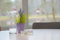 Alluring Holiday Home in Limburg Near Forest Hotels in Stramproy