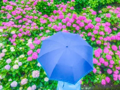 이즈-이마이하마 도큐 호텔 가와즈 역 주변 호텔