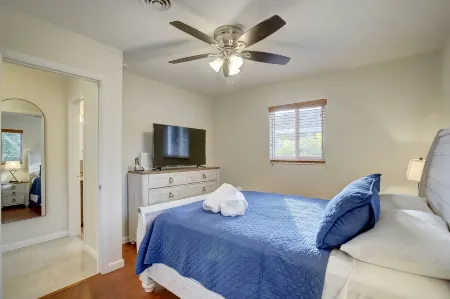 The Blue Agave of South Florida