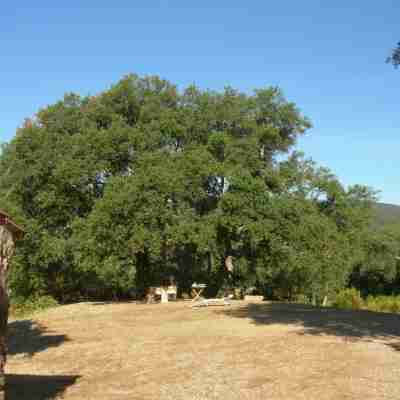 Apartment Farmhouse between Siena and the Sea relax swimming pool WiFi 1 room 2-4 P Hotel Exterior