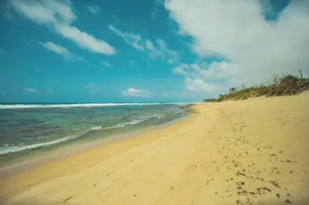 Beach Home, ¡Amazing beach location! , walk to the beach. Family & Friends home.