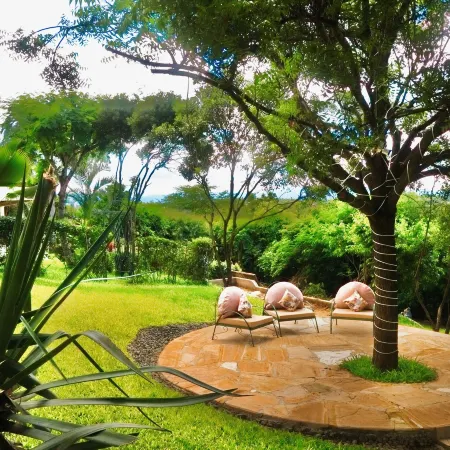 Pink Flamingo Boutique Hotel