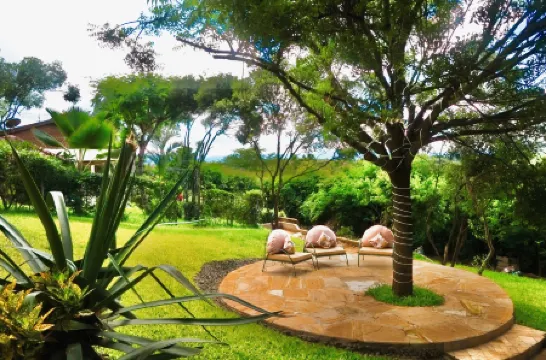 粉紅火烈鳥精品酒店