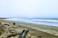 Dock, Water Views: Dog-Friendly Ocean Shores Home! - 4-Star