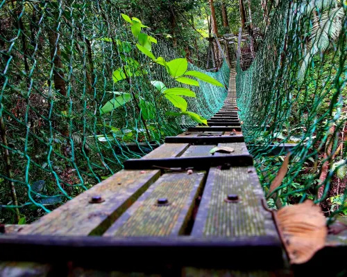 Borneo Tropical Rainforest Resort Kawasan Awam Photos