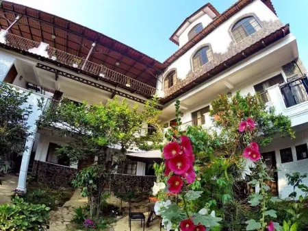 Hotel & Restaurant Fleur de LIS Отели в г. Консепсьон де Атако