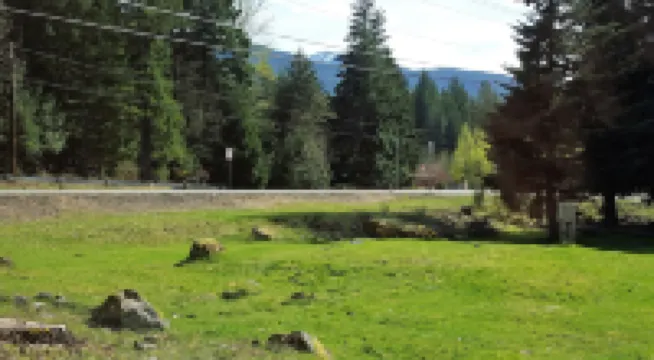 Mountain View Lodge - No Pets Allowed