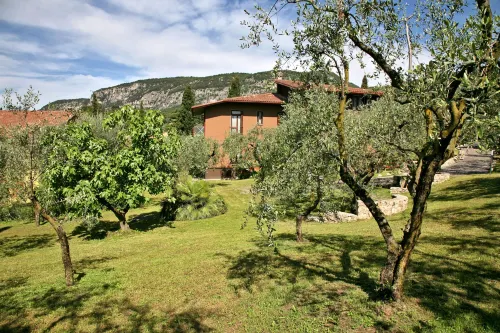 Residence Uliveto