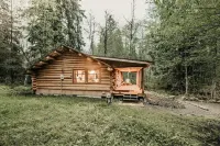 76GS - Genuine Log Cabin - WI-FI - Pets Ok - Sleeps 4