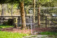 Hostel & Hotel Braunlage فنادق في Schierke
