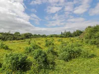 Glenisle Hotels in Dalbeattie