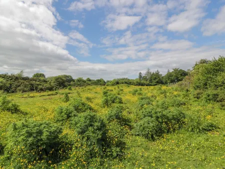 Glenisle Отели в г. Далбитти