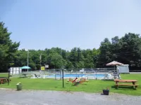 Four Seasons Motel Hotels in Catskill