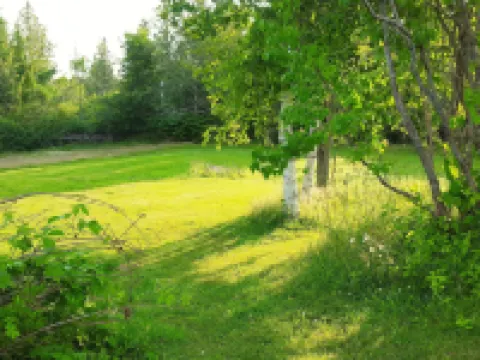 Greenside Motel Hotels in Saint Andrews