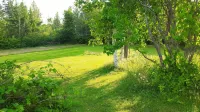 Greenside Motel Hotels in Saint Andrews