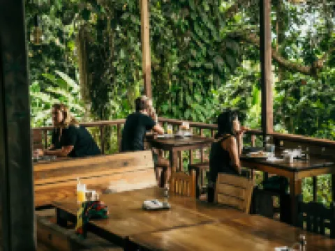 Bambuda Lodge Hotels in Bastimento