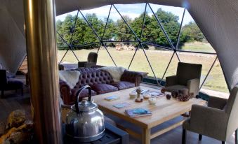 Huemules Reserva de Montana