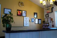 Saxony Motel Hotels in Chatham